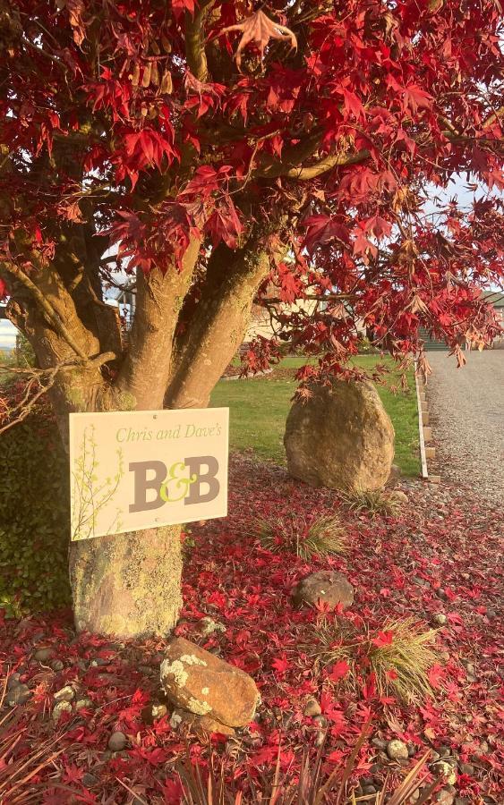 Chris And Dave'S B & B Otorohanga Extérieur photo